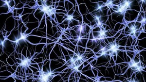 「脳の持つナビゲーションシステムを人工ニューラルネットワークが再現」